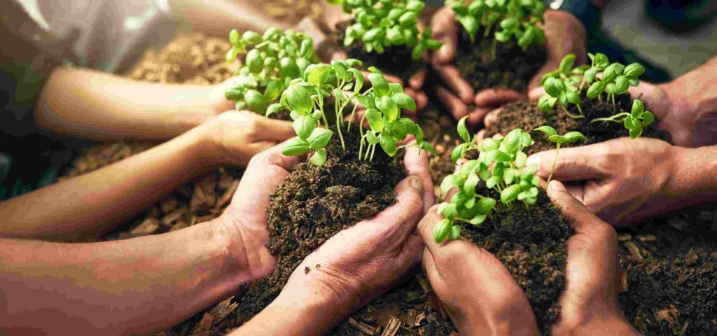 many people's hands planting seedlings in soil together