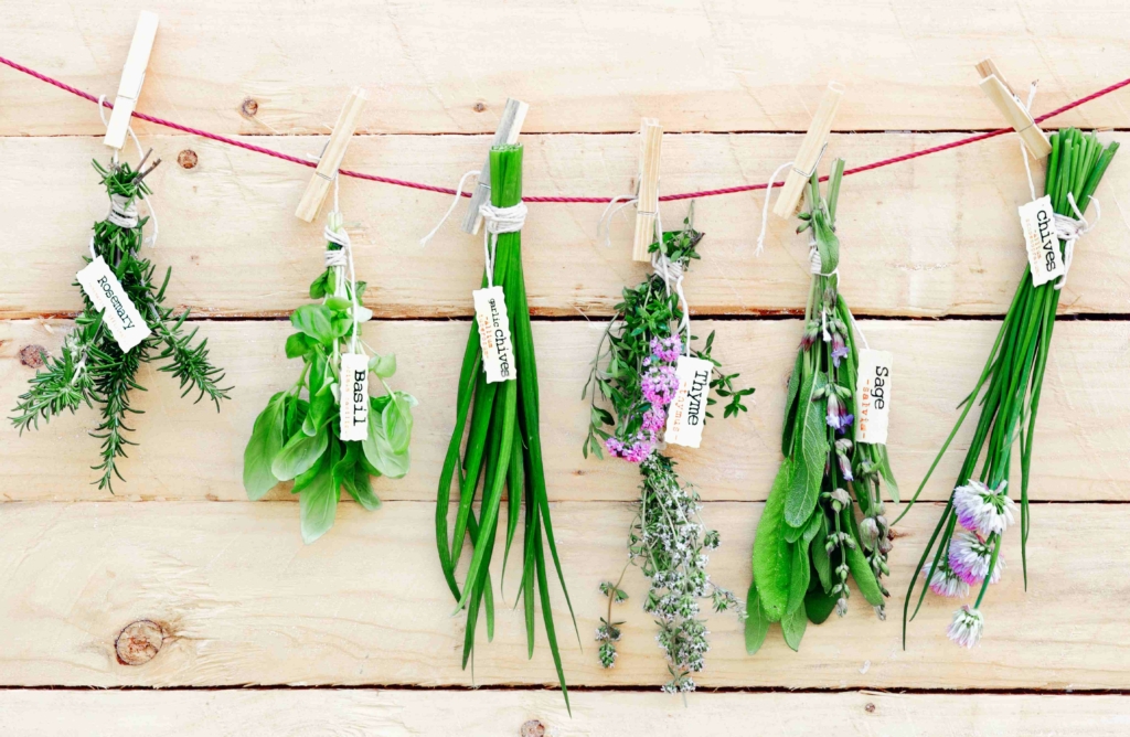 dried herbs used for self care