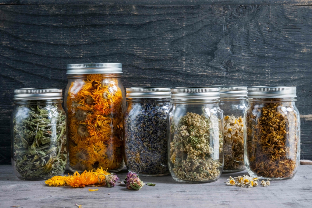 jars of herbs used for herbal medicine making